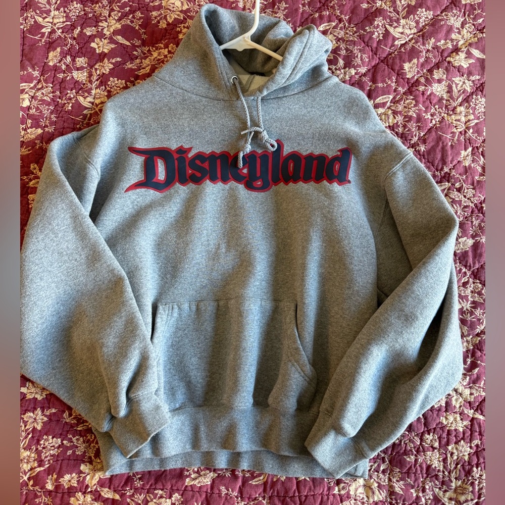 Vintage Disneyland Resorts Hoodie Sweatshirt small Grey
